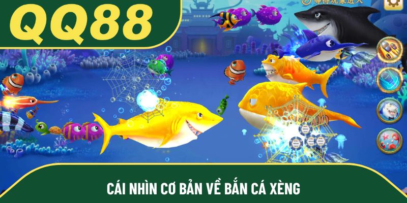 Cái nhìn cơ bản về bắn cá xèng