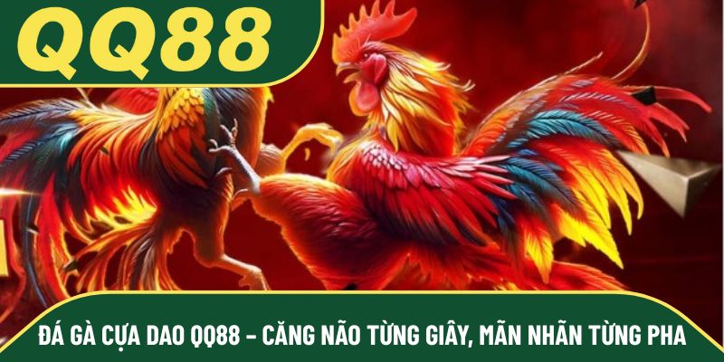 Đá Gà Cựa Dao