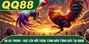 Đá Gà Thomo