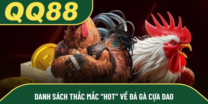 Danh sách thắc mắc “hot” về đá gà cựa dao