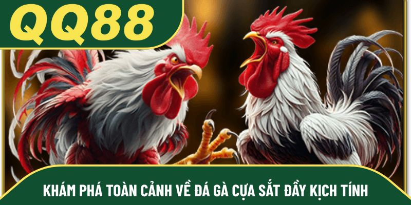 Khám phá toàn cảnh về đá gà cựa sắt đầy kịch tính